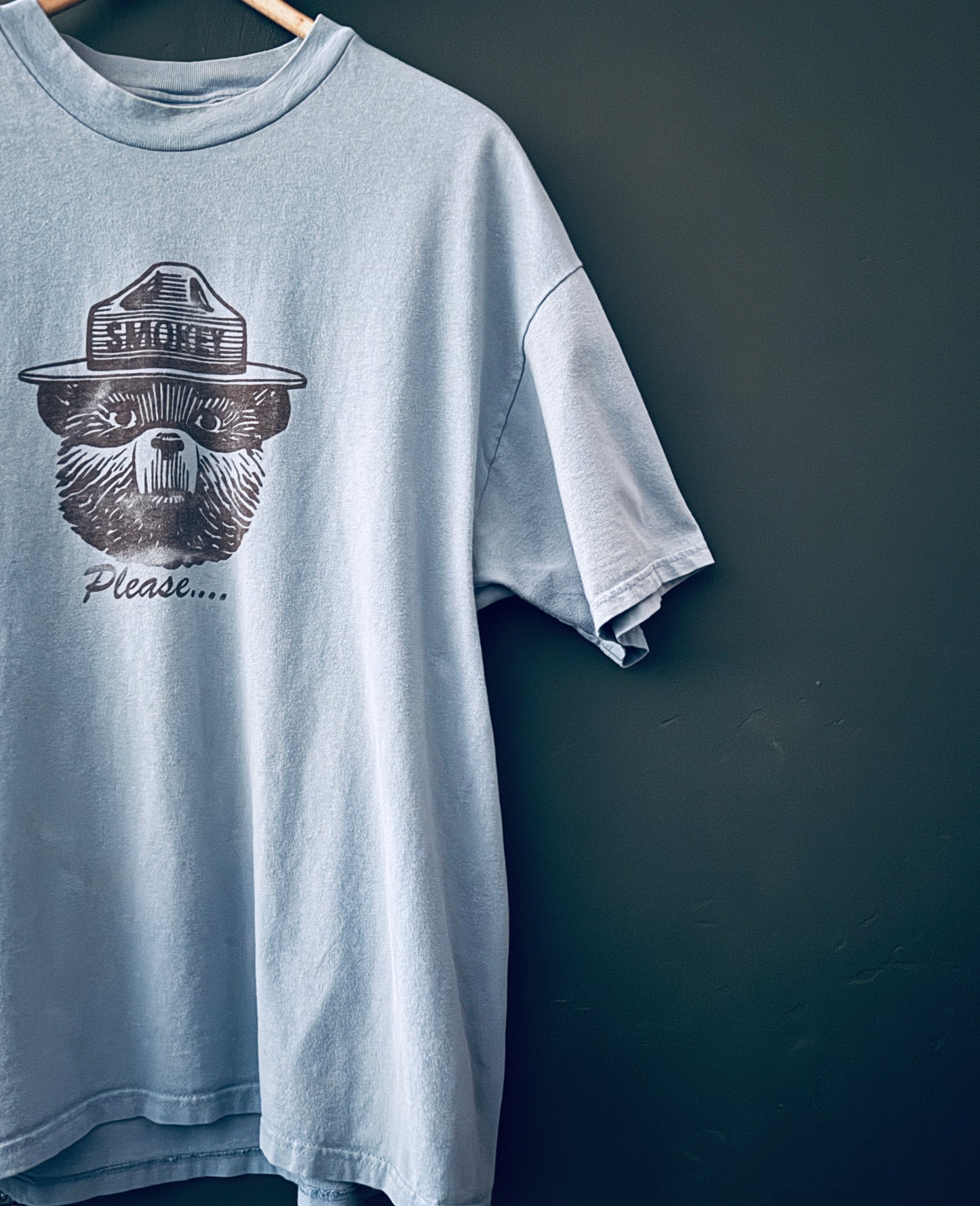 Smokey Bear Shirt – Vintage