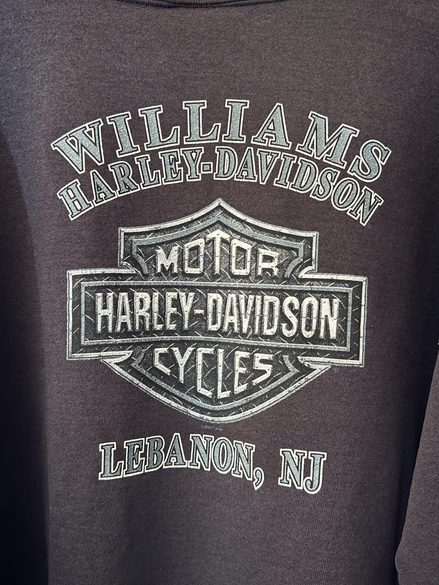 Harley Davidson Sweatshirt Distressed | Vintage
