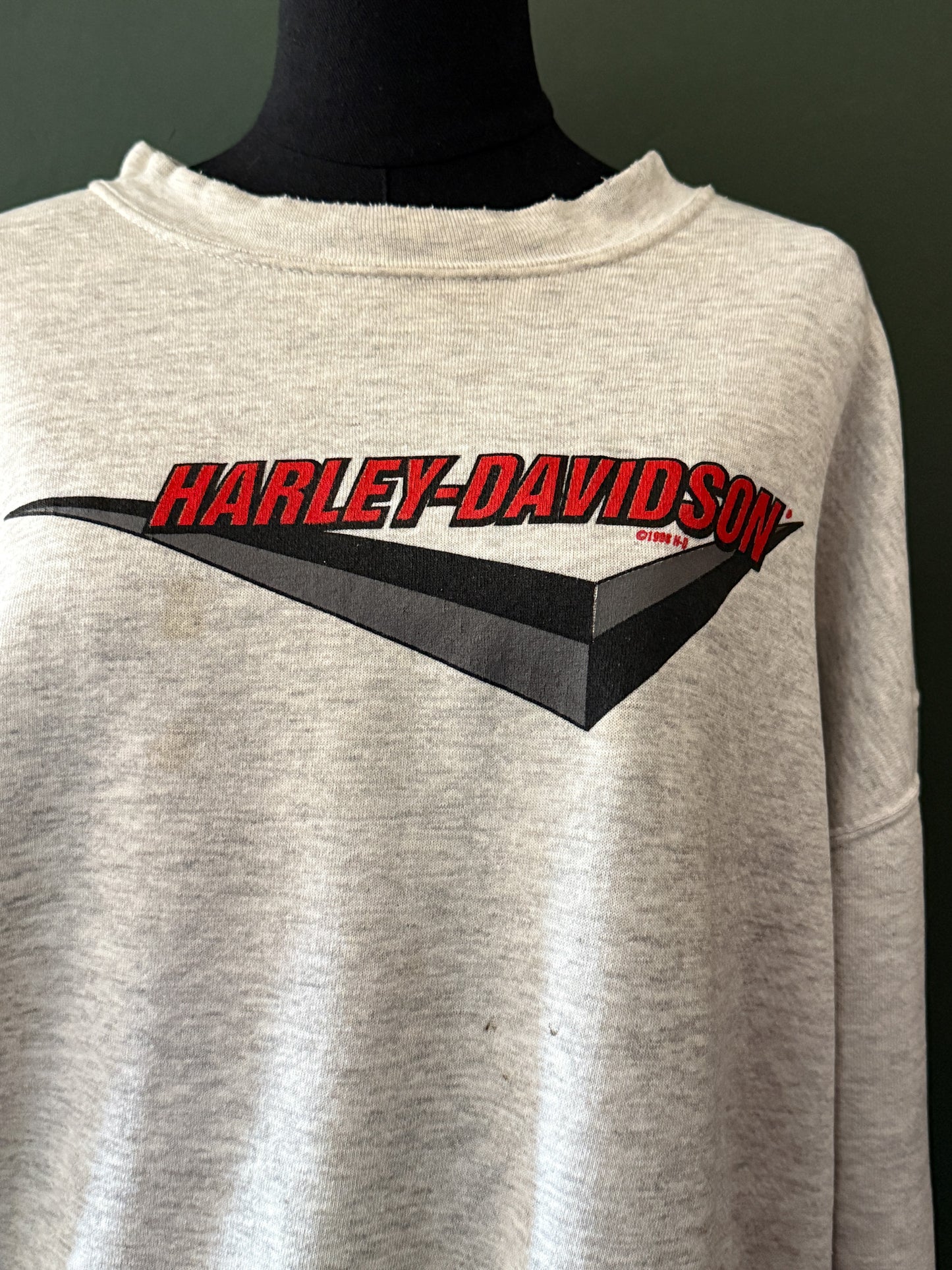 Distressed Harley Davidson Sweatshirt | Vintage 1998