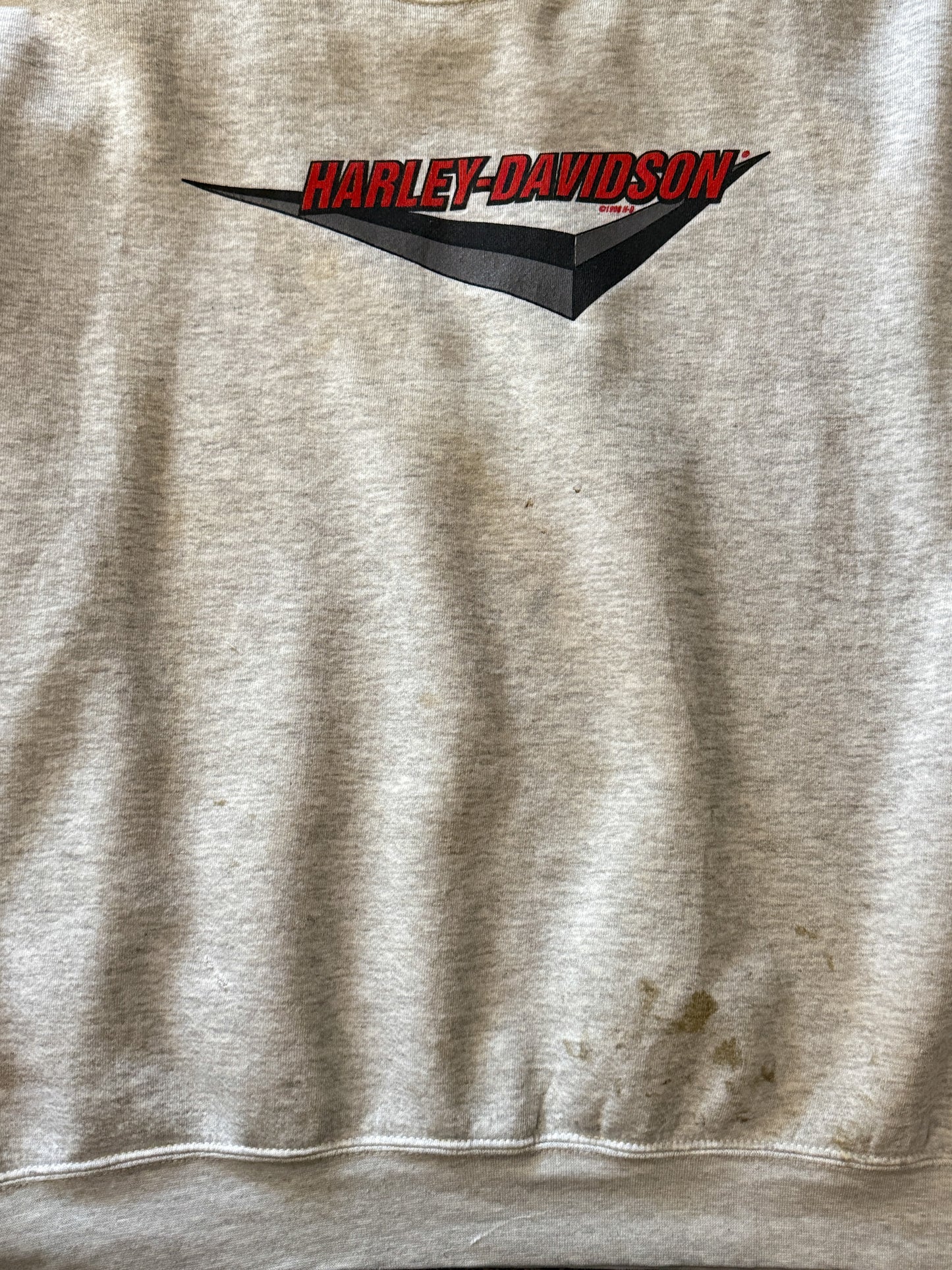 Distressed Harley Davidson Sweatshirt | Vintage 1998