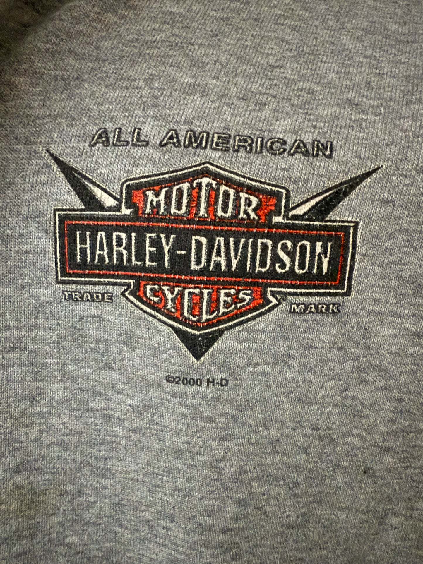 Rare Harley Davidson Hoodless Zip-Up 2000 | Vintage