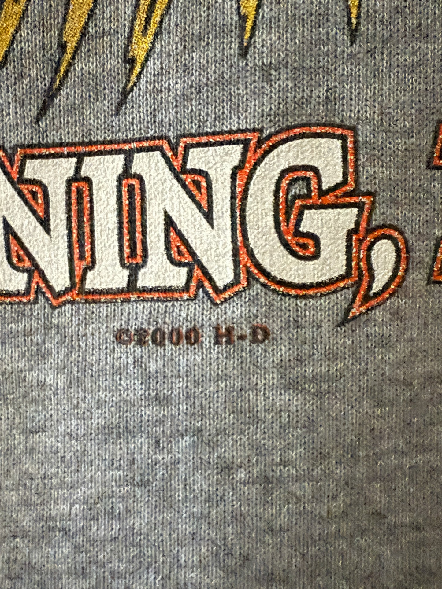 Rare Harley Davidson Hoodless Zip-Up 2000 | Vintage